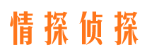 延长情探私家侦探公司